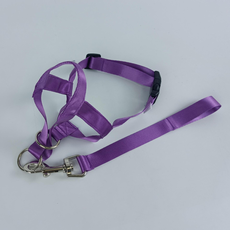 Μάσκα σκύλου από νάιλον; συσκευασία 50 τεμαχίων; αδειοδοτημένη ιδιωτική μάρκα Cool and cute.