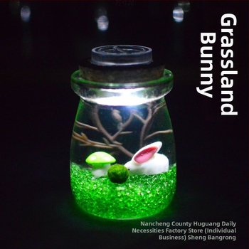 Хидропонен микро ландшафт в екологична бутилка с водораслова топка — магнитен материал, модерен минималистичен стил, възможност за печат на лого, подарък готов