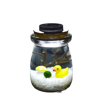 Хидропонен микро ландшафт в екологична бутилка с водораслова топка — магнитен материал, модерен минималистичен стил, възможност за печат на лого, подарък готов