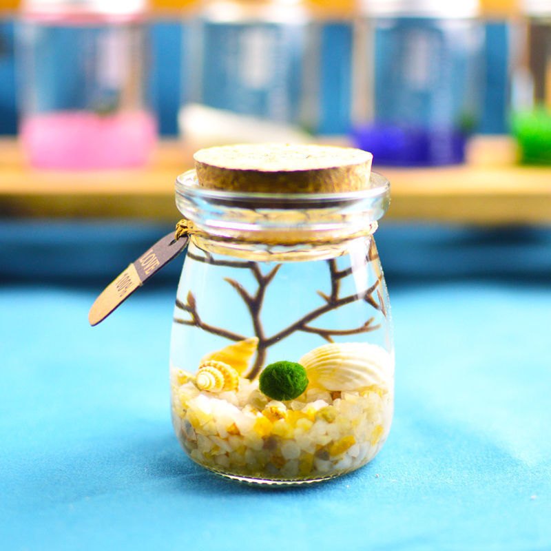 Хидропонен микро ландшафт в екологична бутилка с водораслова топка — магнитен материал, модерен минималистичен стил, възможност за печат на лого, подарък готов