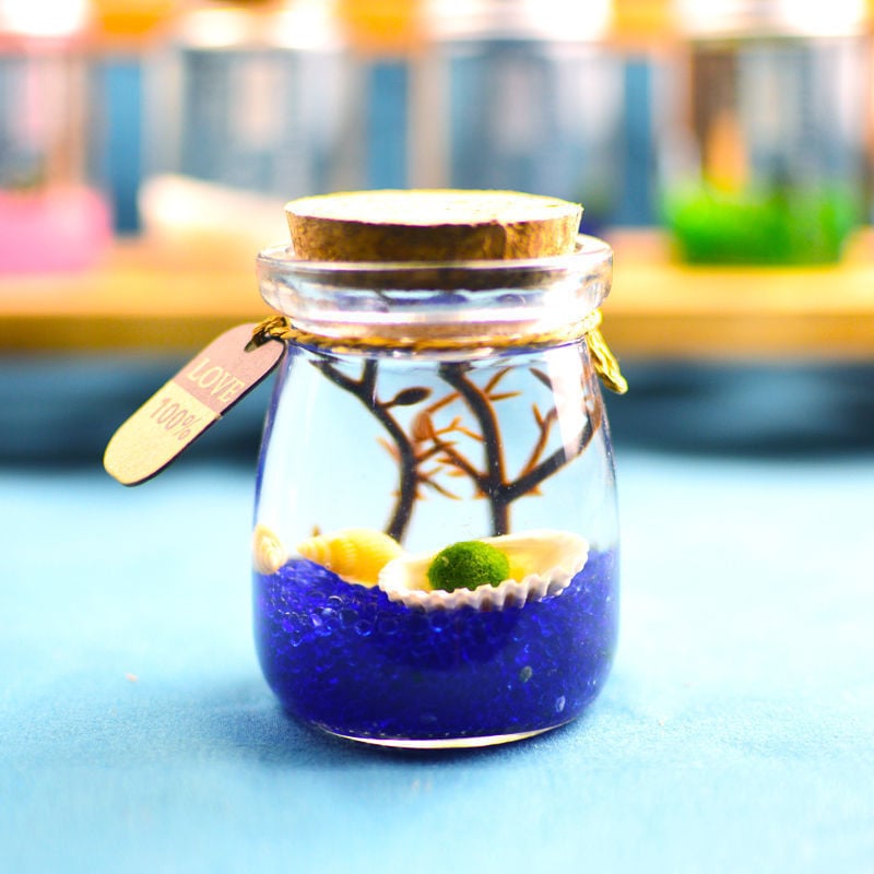 Хидропонен микро ландшафт в екологична бутилка с водораслова топка — магнитен материал, модерен минималистичен стил, възможност за печат на лого, подарък готов