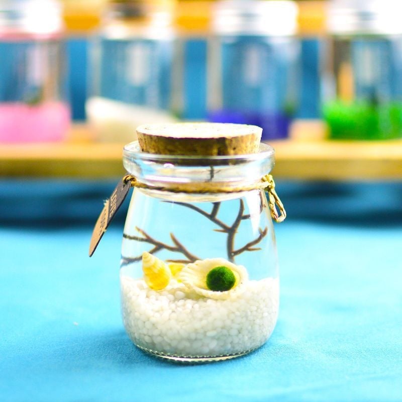 Хидропонен микро ландшафт в екологична бутилка с водораслова топка — магнитен материал, модерен минималистичен стил, възможност за печат на лого, подарък готов