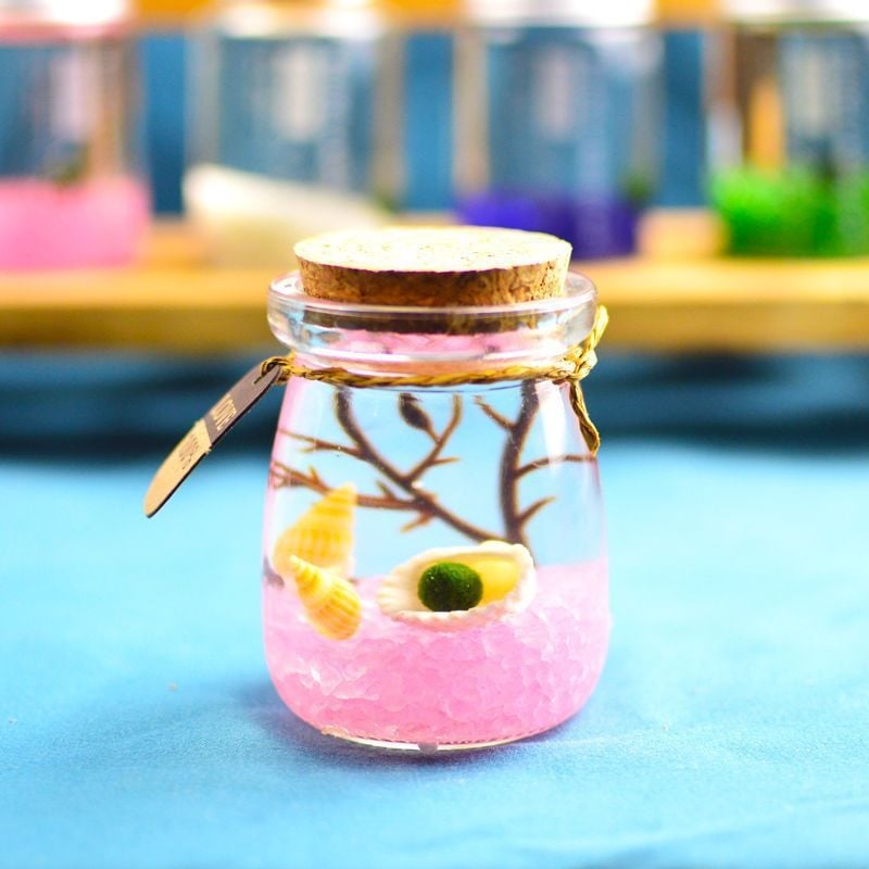 Хидропонен микро ландшафт в екологична бутилка с водораслова топка — магнитен материал, модерен минималистичен стил, възможност за печат на лого, подарък готов