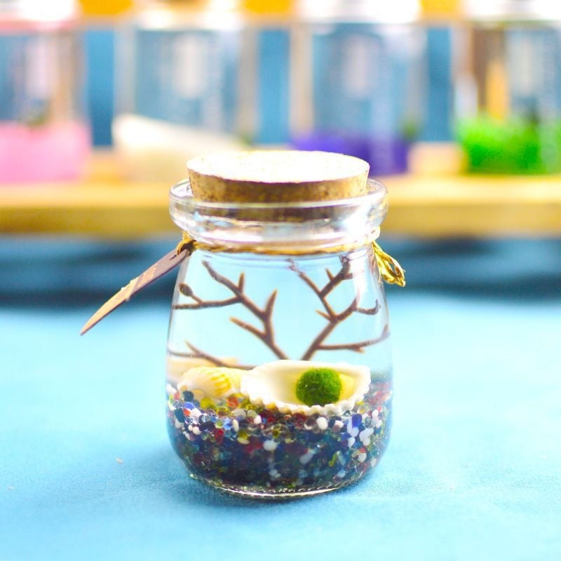 Хидропонен микро ландшафт в екологична бутилка с водораслова топка — магнитен материал, модерен минималистичен стил, възможност за печат на лого, подарък готов