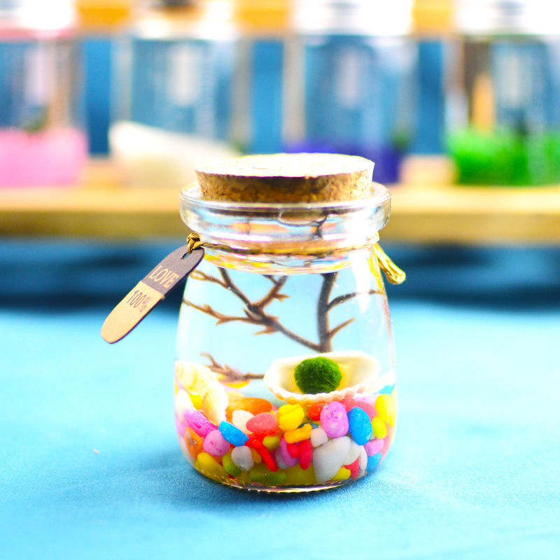 Хидропонен микро ландшафт в екологична бутилка с водораслова топка — магнитен материал, модерен минималистичен стил, възможност за печат на лого, подарък готов