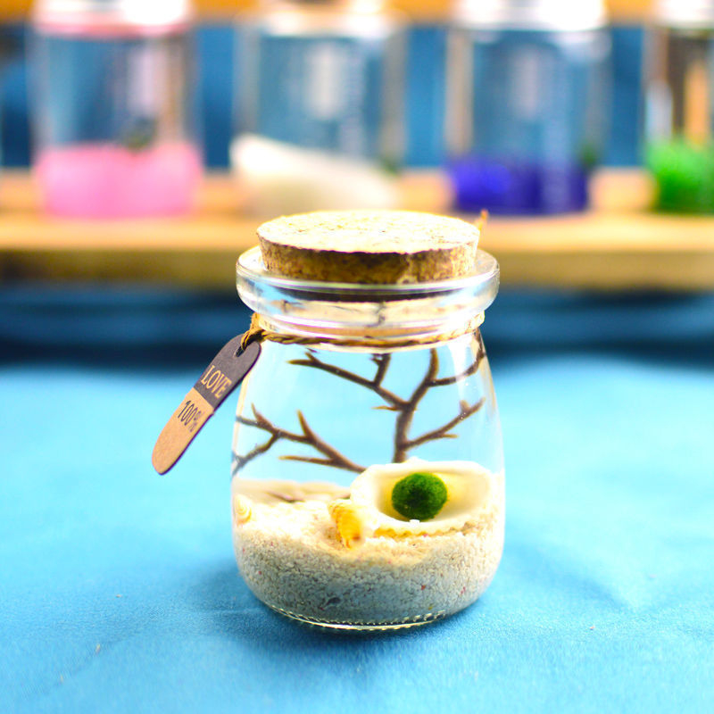 Хидропонен микро ландшафт в екологична бутилка с водораслова топка — магнитен материал, модерен минималистичен стил, възможност за печат на лого, подарък готов