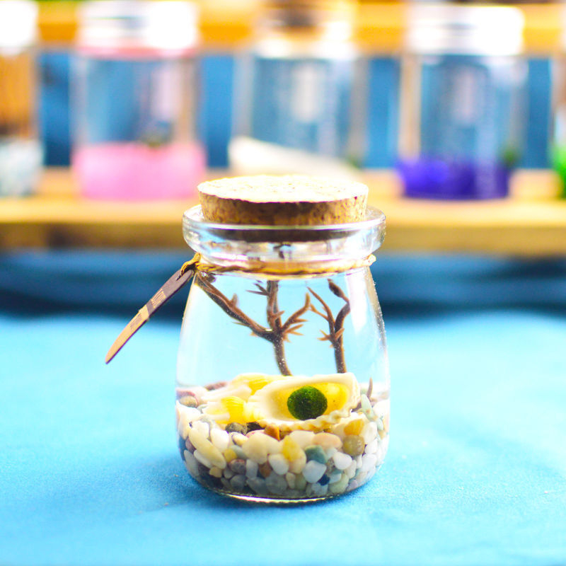 Хидропонен микро ландшафт в екологична бутилка с водораслова топка — магнитен материал, модерен минималистичен стил, възможност за печат на лого, подарък готов