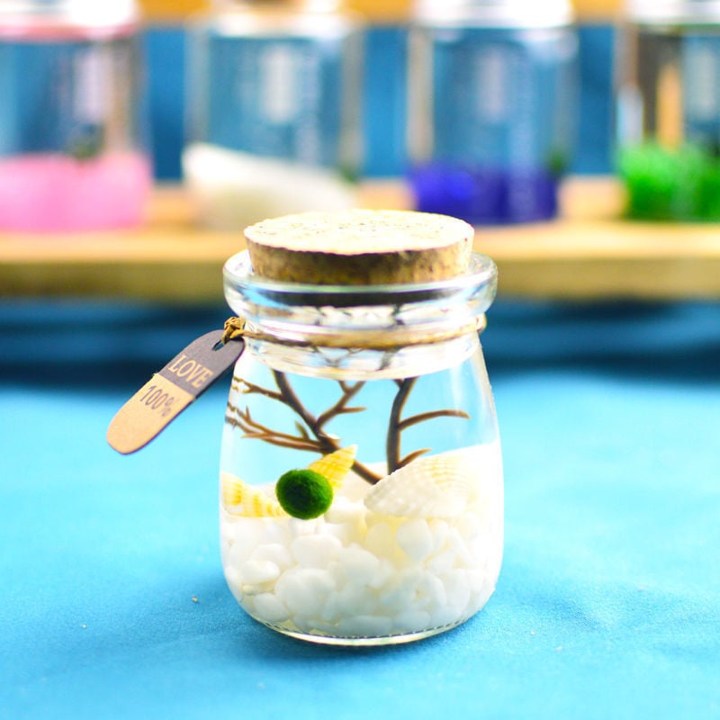 Хидропонен микро ландшафт в екологична бутилка с водораслова топка — магнитен материал, модерен минималистичен стил, възможност за печат на лого, подарък готов