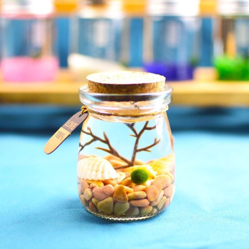 Хидропонен микро ландшафт в екологична бутилка с водораслова топка — магнитен материал, модерен минималистичен стил, възможност за печат на лого, подарък готов