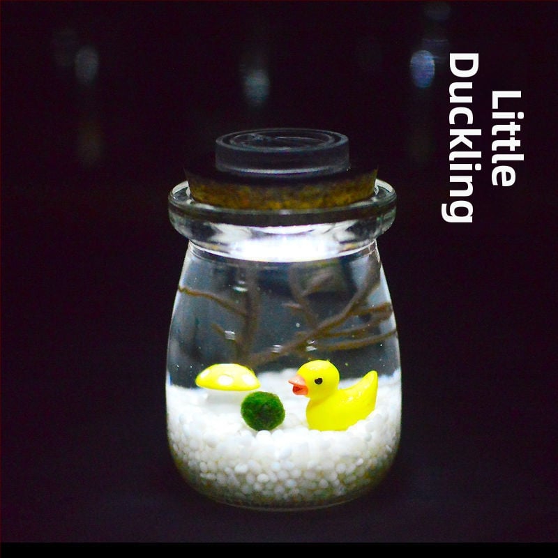 Хидропонен микро ландшафт в екологична бутилка с водораслова топка — магнитен материал, модерен минималистичен стил, възможност за печат на лого, подарък готов