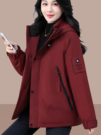 Γυναικείο μπουφάν με quilted επένδυση και κουκούλα, πολυεστέρας, ανθεκτικό στον άνεμο, φαρδιά γραμμή, φερμουάρ, Χειμώνας 2025