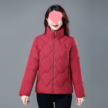 Moteriška medvilninė pūkų striukė – korėjietiško stiliaus, ilgomis rankovėmis, stovinti apykaklė, užsegimas vienu mygtuku, vidutinio storio, vientisas modelis