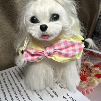 Kiskedvenceknek szóló masni – kockás mintázat, pamut anyag, Ol márka, hercegnő stílus