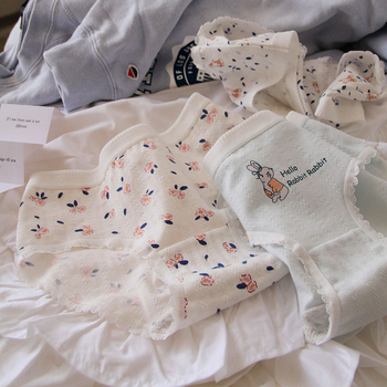 Slips din bumbac pentru femei, talie medie, căptușeală din bumbac, 90–95% bumbac, țesătură 40s