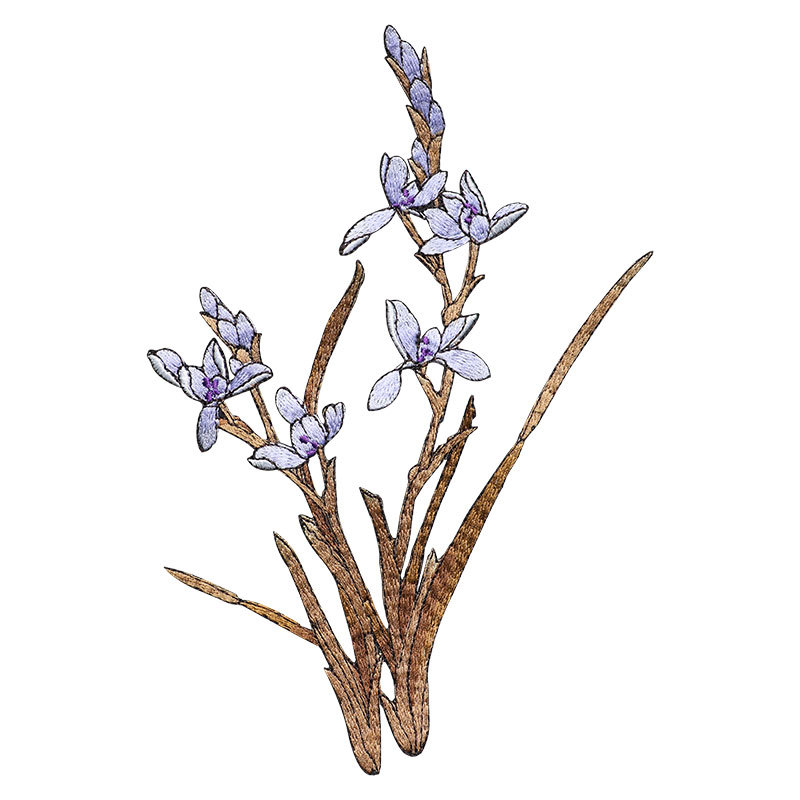 Εθνο-στυλ appliqué με ορχιδέα για ρούχα, rayon, Rainbow embroidery, με αυτοκόλλητο πίσω για σιδέρωμα