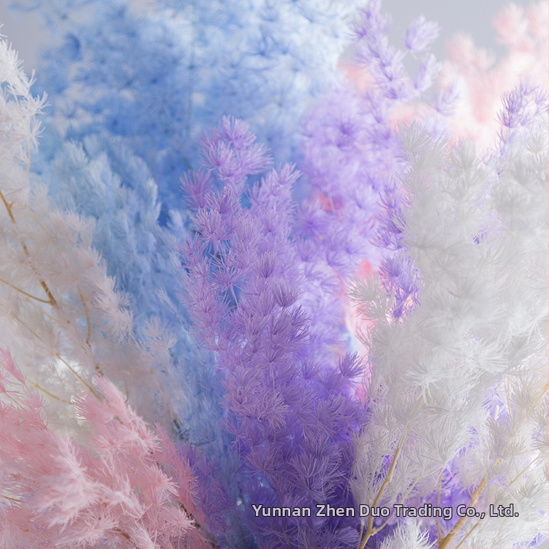 Treasure аксесоари за запазени цветя Пенлайски бор — вечни цветя