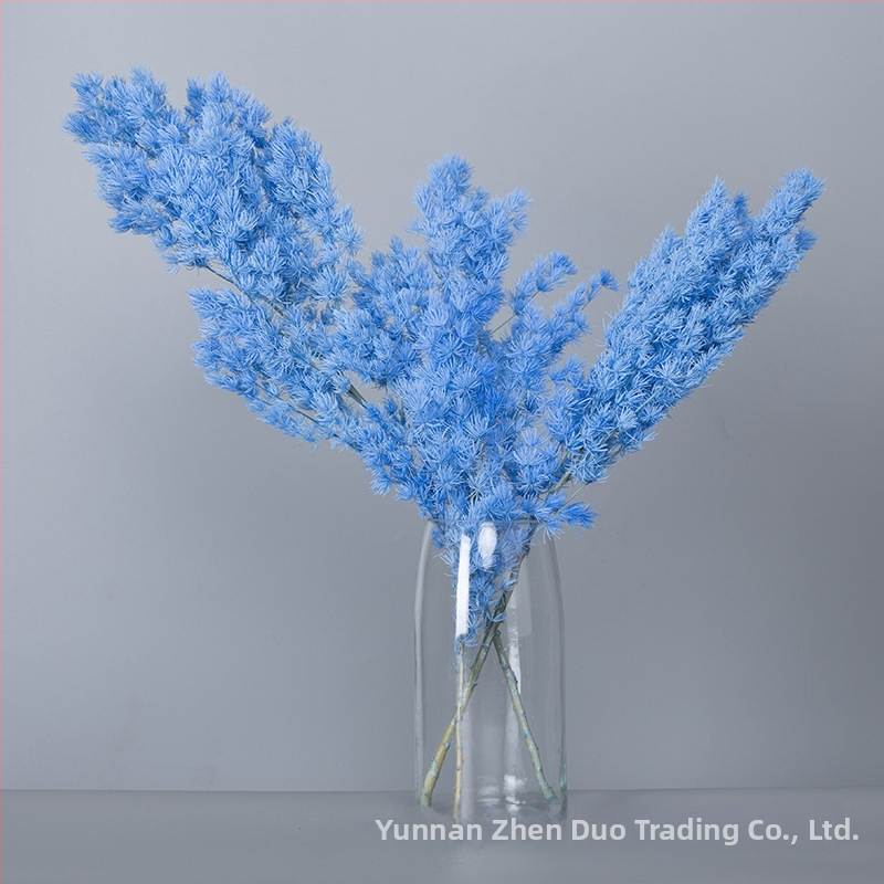 Treasure aksesuāri saglabātiem ziediem Penglai Pine