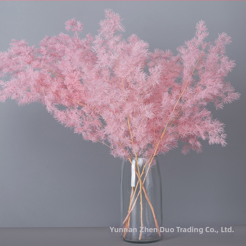 Treasure aksesuāri saglabātiem ziediem Penglai Pine