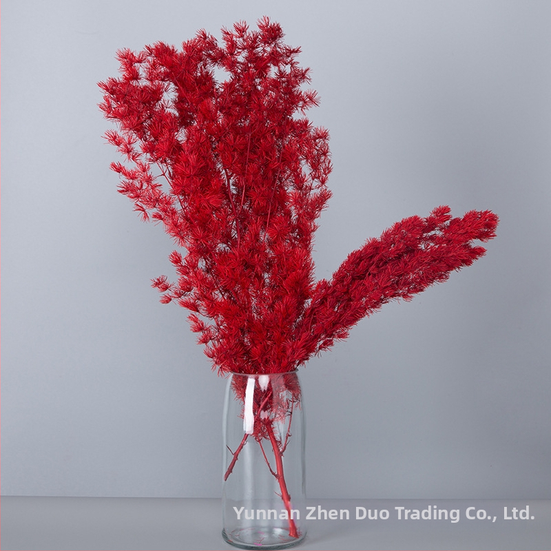 Treasure aksesuāri saglabātiem ziediem Penglai Pine