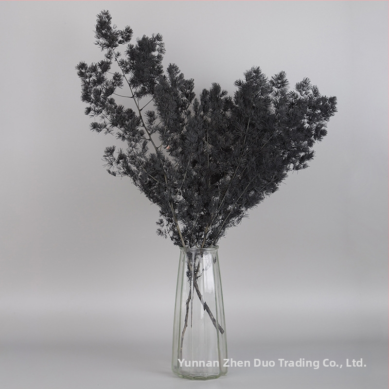 Treasure aksesuāri saglabātiem ziediem Penglai Pine