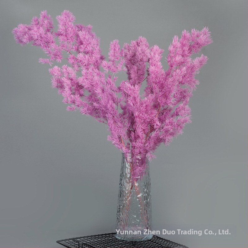 Treasure aksesuāri saglabātiem ziediem Penglai Pine