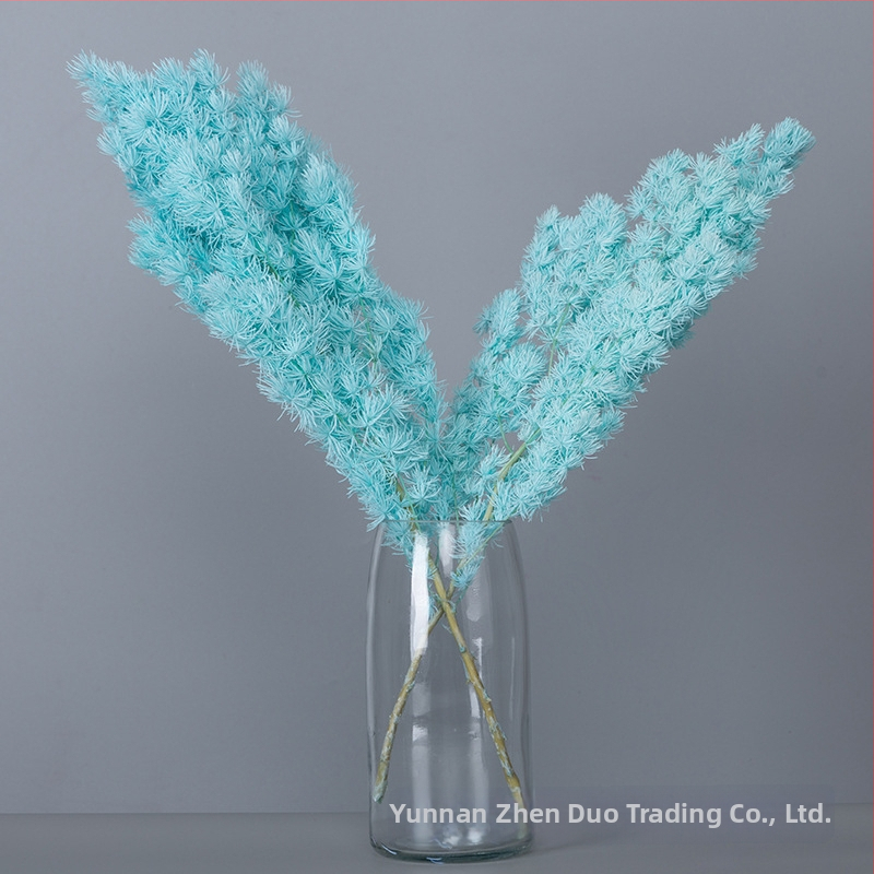 Treasure aksesuāri saglabātiem ziediem Penglai Pine