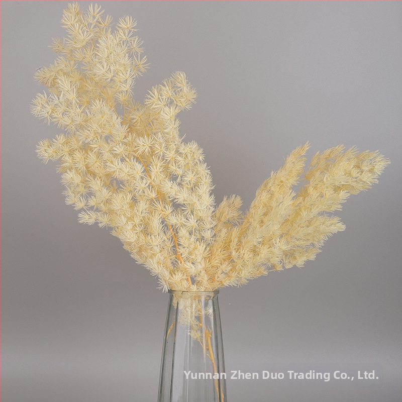 Treasure aksesuāri saglabātiem ziediem Penglai Pine