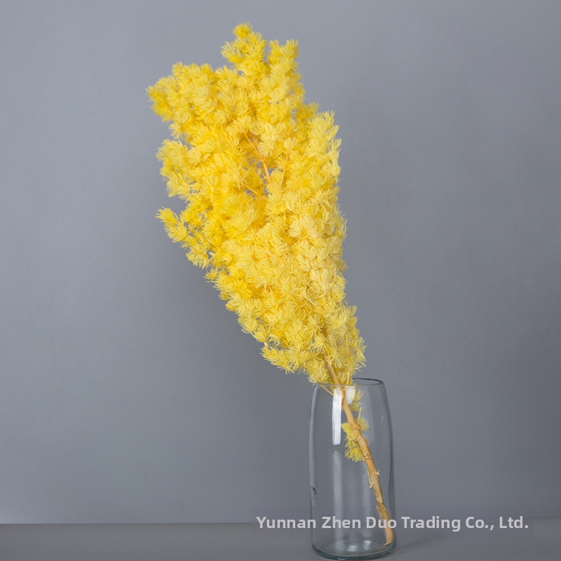 Treasure aksesuāri saglabātiem ziediem Penglai Pine