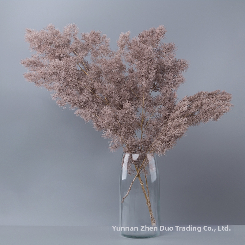 Treasure aksesuāri saglabātiem ziediem Penglai Pine