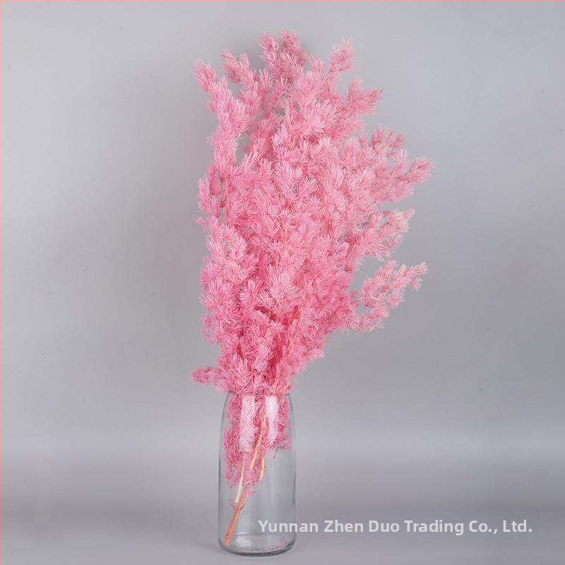 Treasure aksesuāri saglabātiem ziediem Penglai Pine