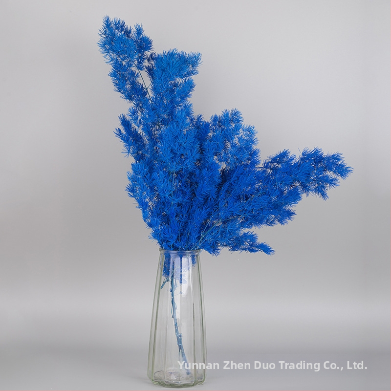 Treasure aksesuāri saglabātiem ziediem Penglai Pine