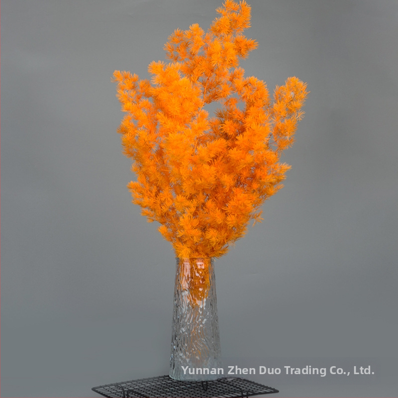 Treasure aksesuāri saglabātiem ziediem Penglai Pine