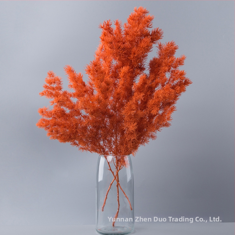 Treasure aksesuāri saglabātiem ziediem Penglai Pine