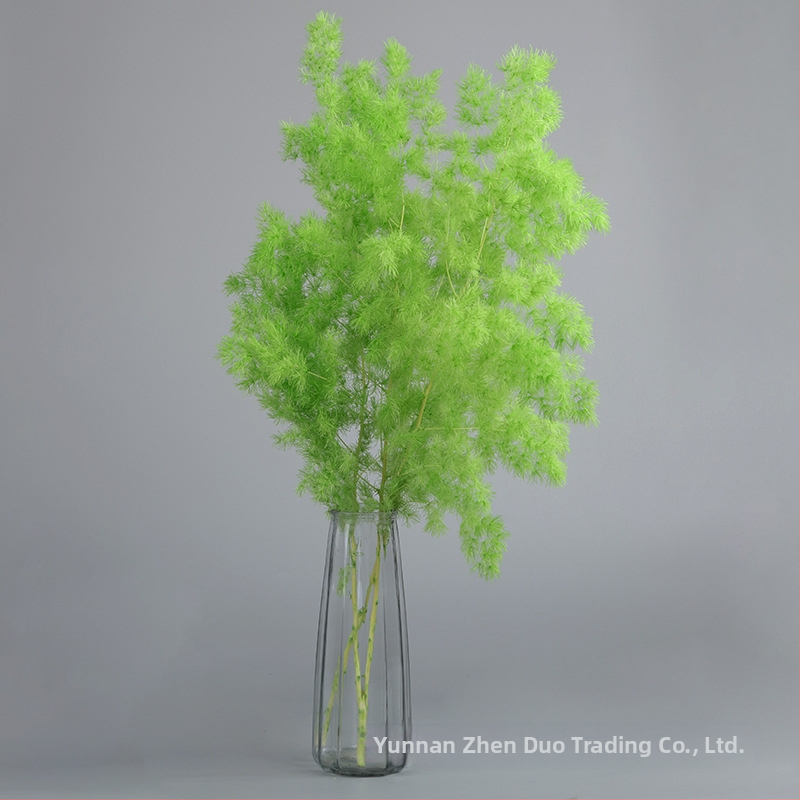 Treasure aksesuāri saglabātiem ziediem Penglai Pine