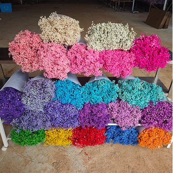 Starry Sky saglabāto ziedu pušķis, 400–500 g