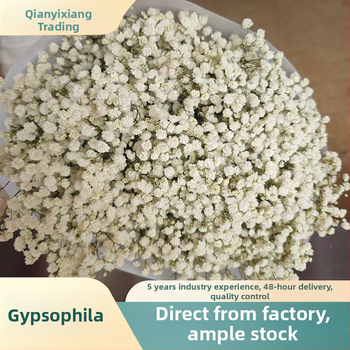 Starry Sky saglabāto ziedu pušķis, 400–500 g