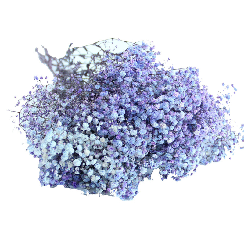 Starry Sky saglabāto ziedu pušķis, 400–500 g