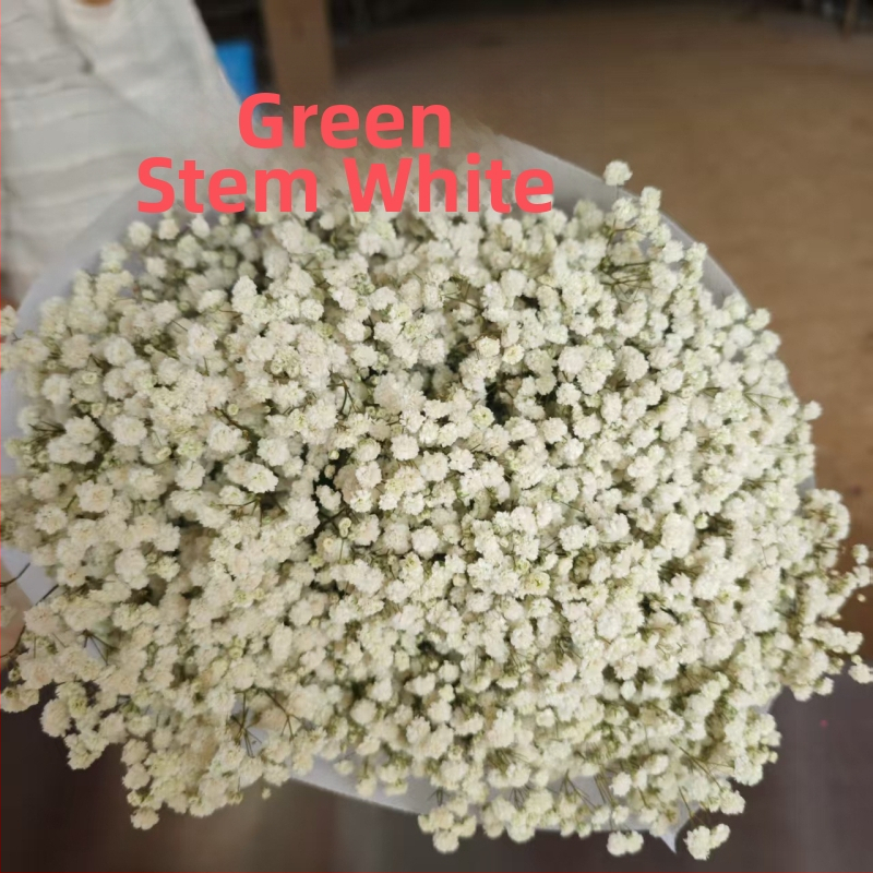 Starry Sky saglabāto ziedu pušķis, 400–500 g