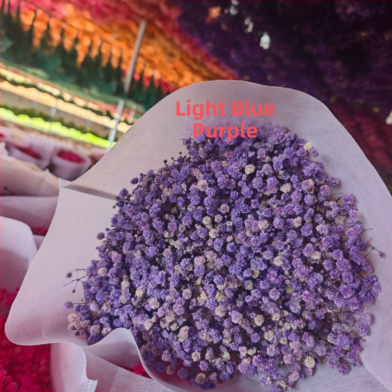 Starry Sky saglabāto ziedu pušķis, 400–500 g