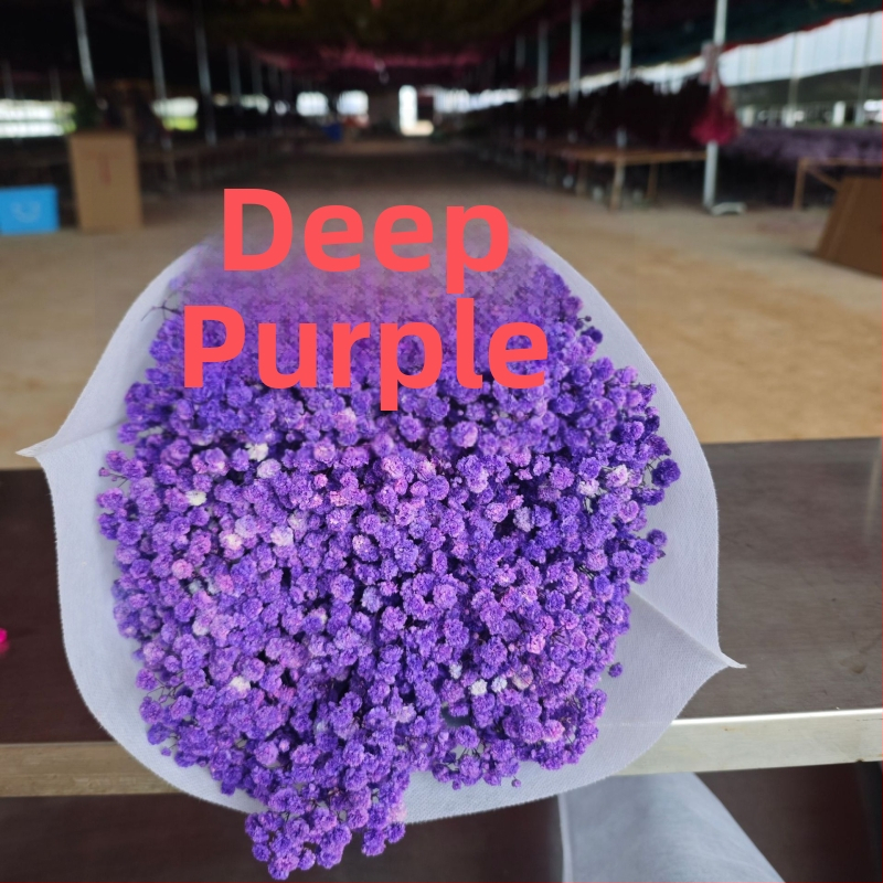 Starry Sky saglabāto ziedu pušķis, 400–500 g