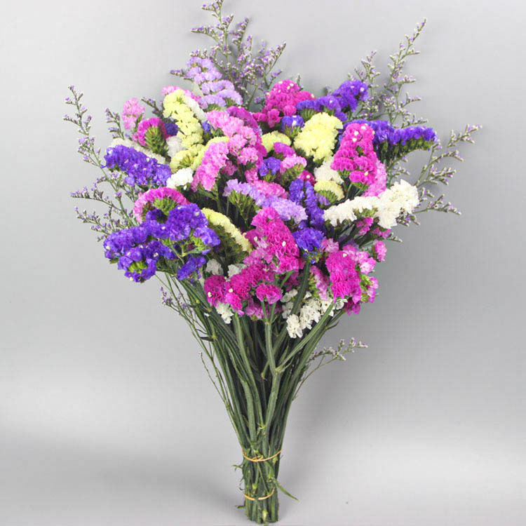 Sauss ziedu pušķis dzīvojamai istabai dekorēšanai; Materiāls: zīda ziedi; Veids: narcis; Zīmols: Source Factory