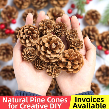 Kuivatatud lillede kott, Tong Meng kaubamärk; Materjal: 31021386361; Sorte: 31021386362; Pakend: kott