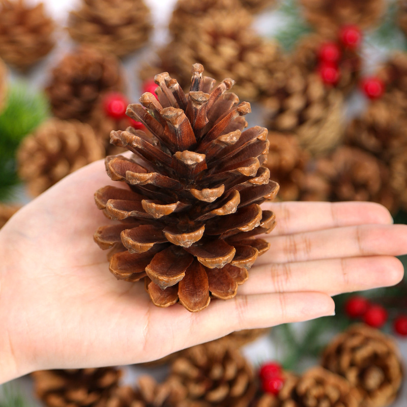 Kuivatatud lillede kott, Tong Meng kaubamärk; Materjal: 31021386361; Sorte: 31021386362; Pakend: kott