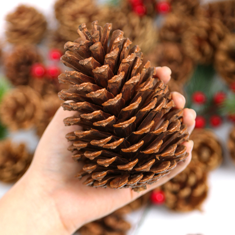 Kuivatatud lillede kott, Tong Meng kaubamärk; Materjal: 31021386361; Sorte: 31021386362; Pakend: kott