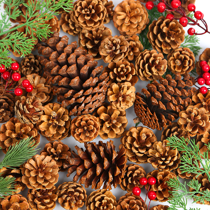 Kuivatatud lillede kott, Tong Meng kaubamärk; Materjal: 31021386361; Sorte: 31021386362; Pakend: kott