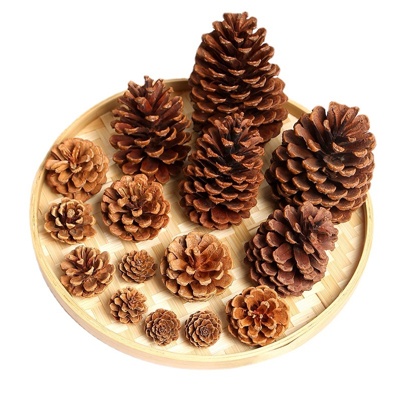 Kuivatatud lillede kott, Tong Meng kaubamärk; Materjal: 31021386361; Sorte: 31021386362; Pakend: kott