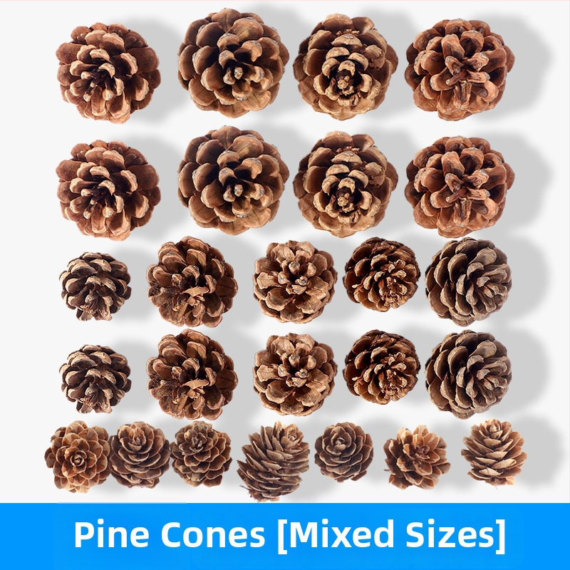 Kuivatatud lillede kott, Tong Meng kaubamärk; Materjal: 31021386361; Sorte: 31021386362; Pakend: kott