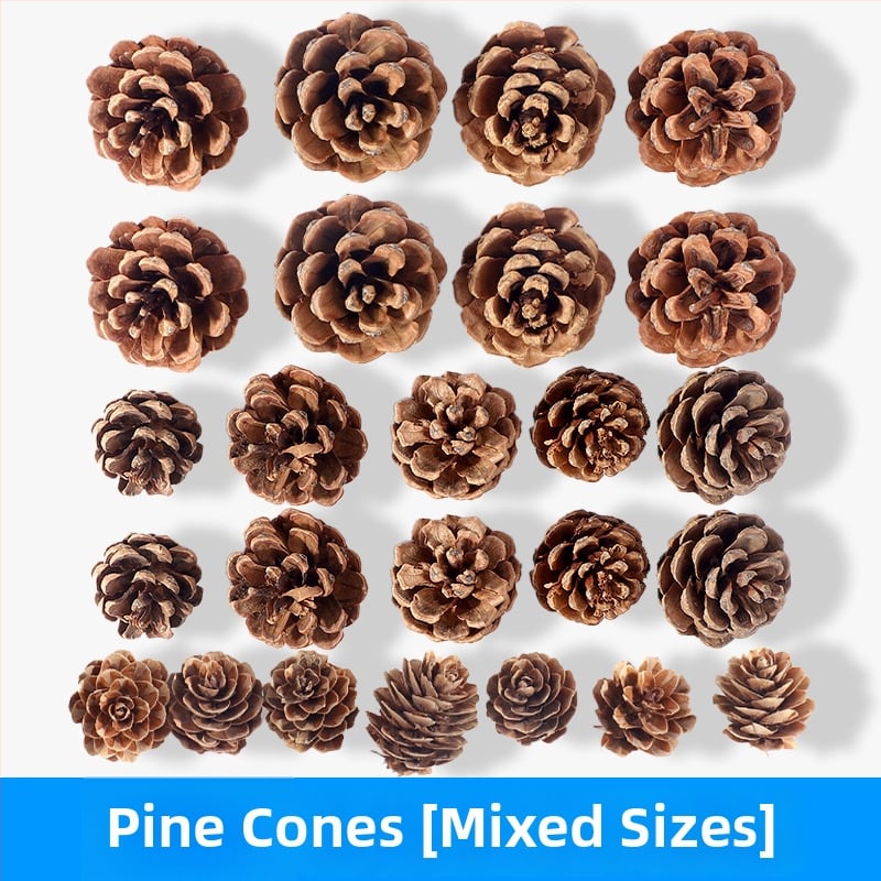 Kuivatatud lillede kott, Tong Meng kaubamärk; Materjal: 31021386361; Sorte: 31021386362; Pakend: kott