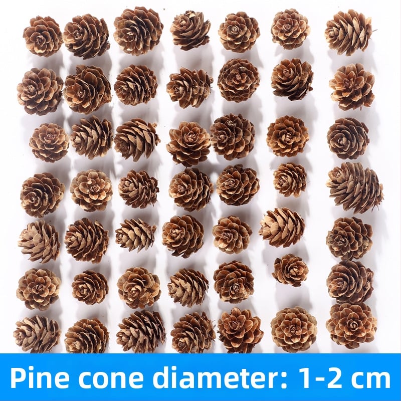 Kuivatatud lillede kott, Tong Meng kaubamärk; Materjal: 31021386361; Sorte: 31021386362; Pakend: kott