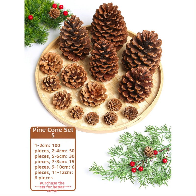 Kuivatatud lillede kott, Tong Meng kaubamärk; Materjal: 31021386361; Sorte: 31021386362; Pakend: kott